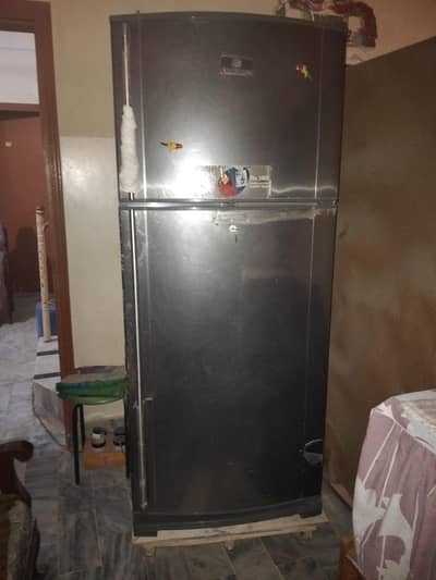 colour gray dawlance medium size