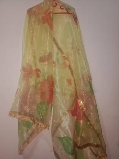 hand painted dresses just for 1k