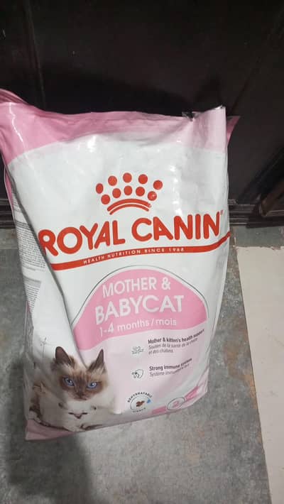 royal canin kitten and mother food