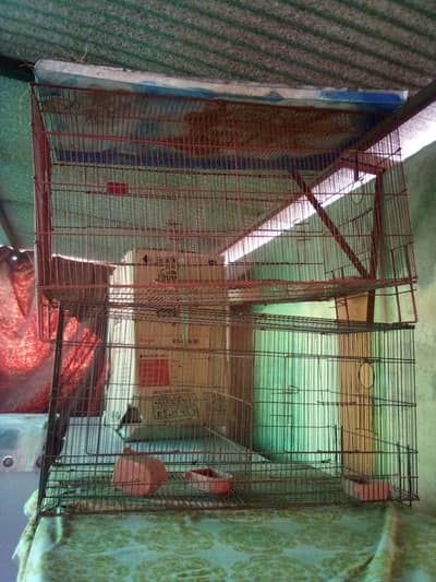 cage for sale