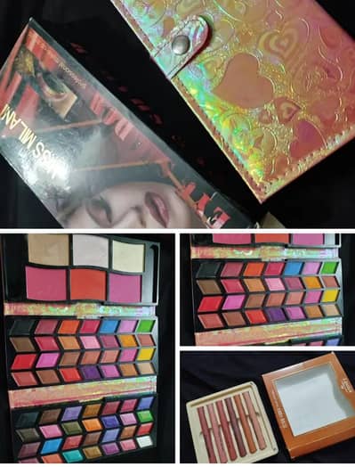 Shimmer and Matte Eye shadows with other professional makeup