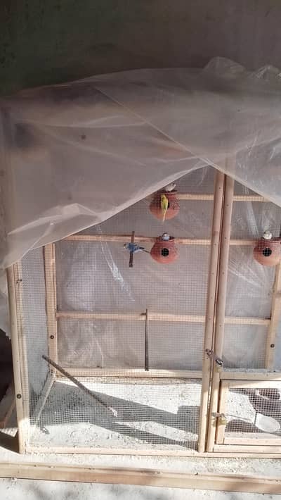 bird cage with budgie sale