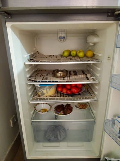 Haier fridge full size