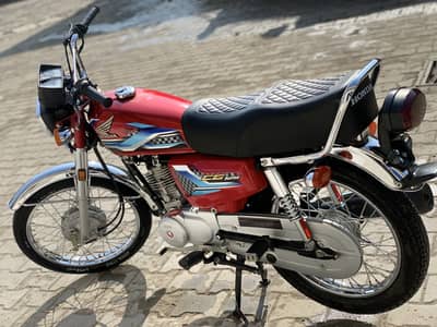 2024 model fill wocher