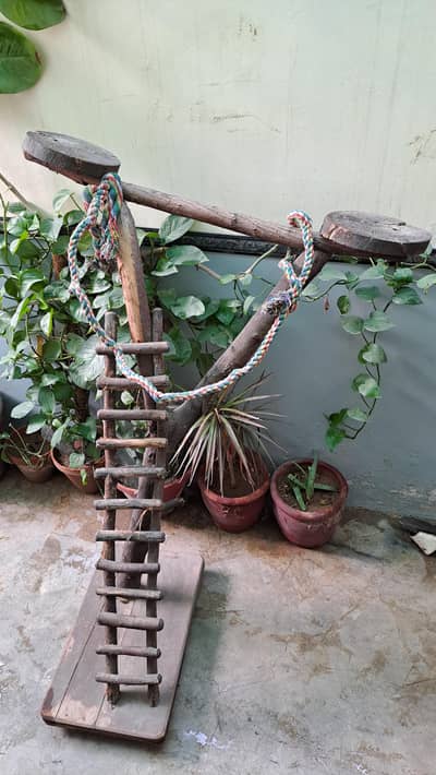 parrot stand for grey parrot macow