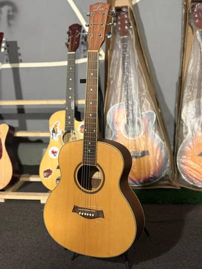 traveller   size  acoustic professional  guitar ( all ok   10/10 )