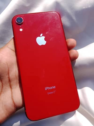 i phone xr