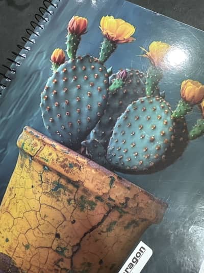 Need female home tutor