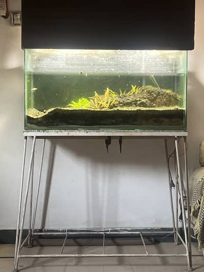 Aquarium with Stand + Hut