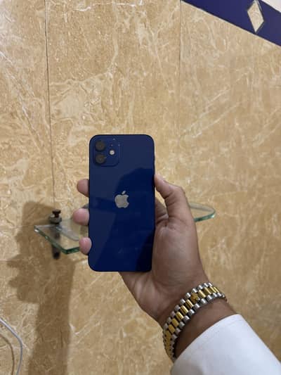 12 pta 256 gb 100 health