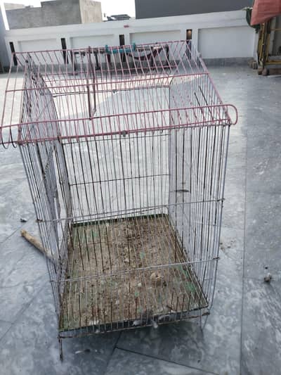 Birds cage
