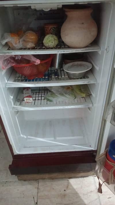 PEL Company Refrigerator