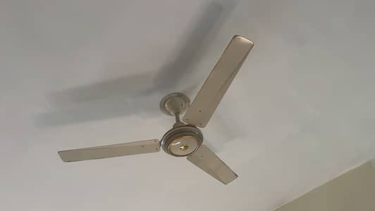 Celling fans