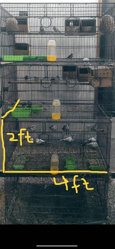 Master Brand Folding Caye Heavy Duty 4x 8