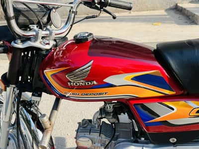 03137799306 WhatsApp