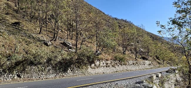 75 Kanal Land At Kaghan Valley