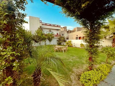 Plot Available For Sale Sun Face