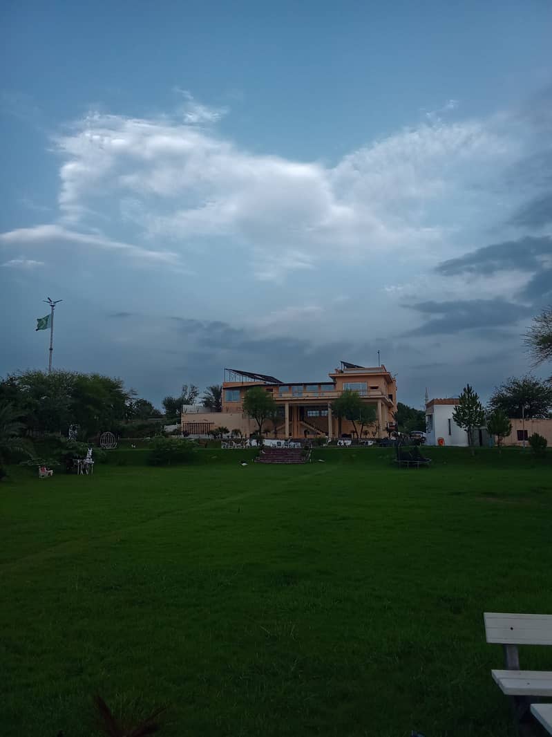 بکریوں کے لیے لڑکا یا فیملی چاہیے 0