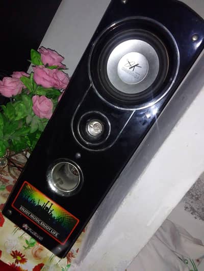 Audionic speaker