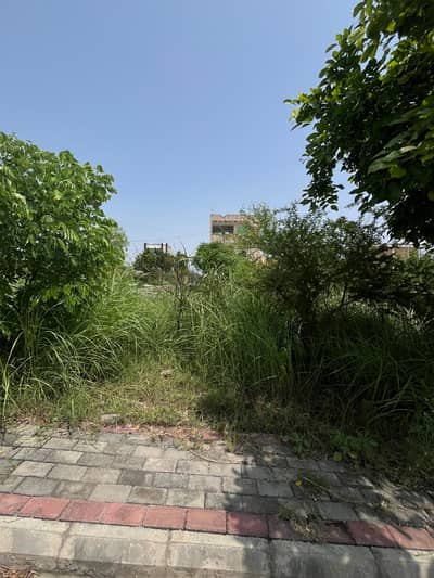Residential Plot for Sale Zamar Valley Islamabad