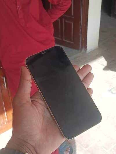 I phone 12 pro max