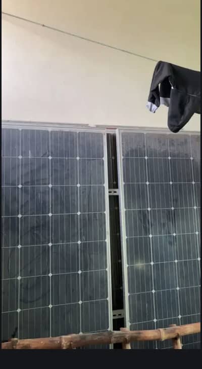 5 sollar plates available