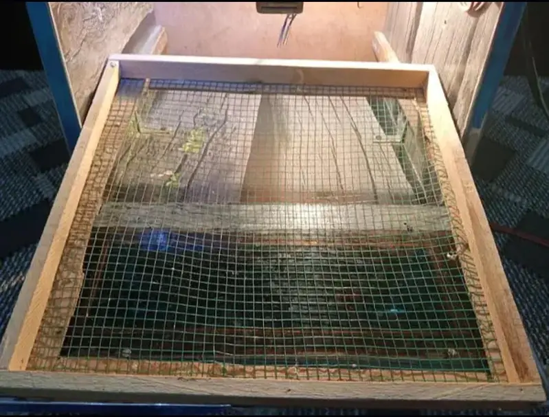 50 Eggs Incubator, work on both 220V and 12V — photo 3