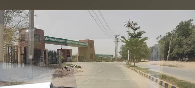 20 Marla Beautiful House For Sale