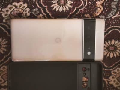 google pixel 6 pro  nonpta