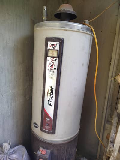 Fischer Geyser For Sale