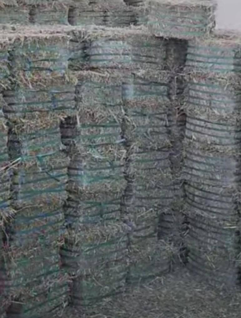 مونگ پلی بھوسہ 0