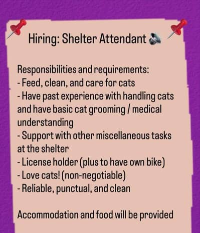 Cat Shelter Attendant