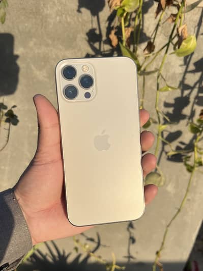 Iphone 12 pro max dual sim official Pta Approved