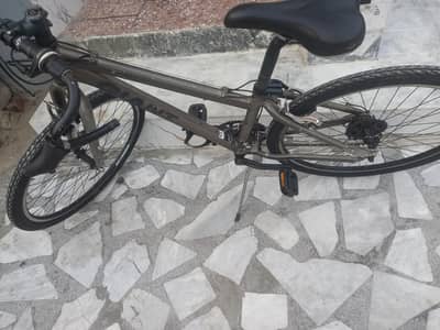 Japanese giant cycle