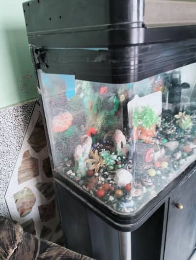 Aquarium for sell