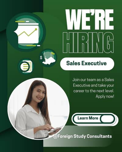 Sales Executive