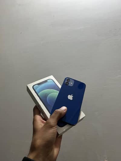 I phone 12 Pta with box