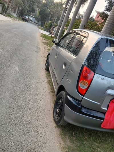 chat pilar genmen baki shwar