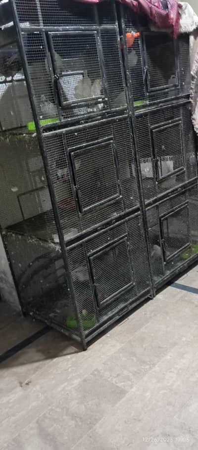 Jumbo Size Iron Pigeon Cages (30x30 Inch - 6 Total Portions)