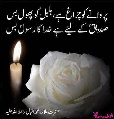 nzra quran and hifzol quran