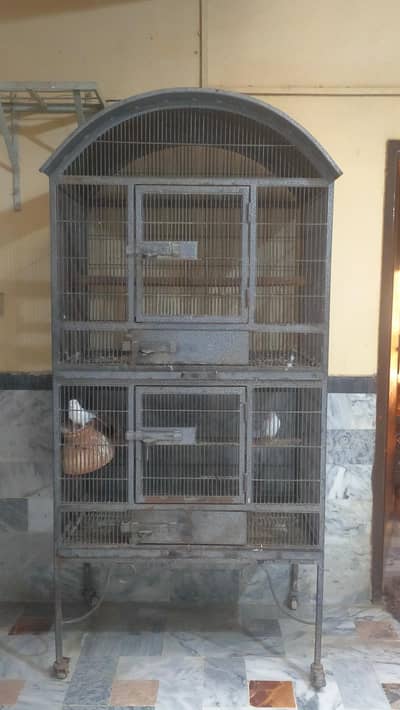Big Cage in reasonable price