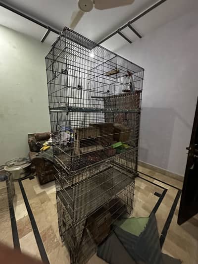 “Zarar Brand 8 Portion Heavy Duty Cage – 10/10 Condition”