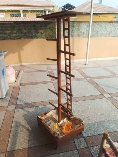 Best stand for hantame parrots.