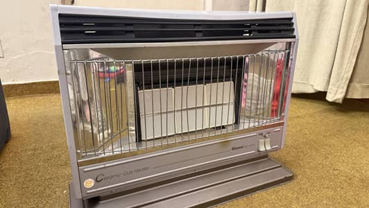 Original Rinnai Heater - Excellent Condition