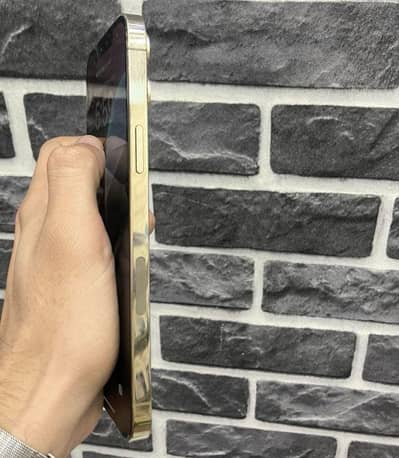 iphone 12 pro max pta approved