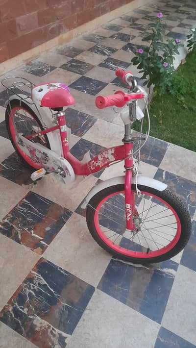 Girls bicycle imported new