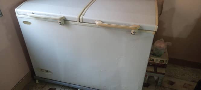 2 door Waves Deep Freezer