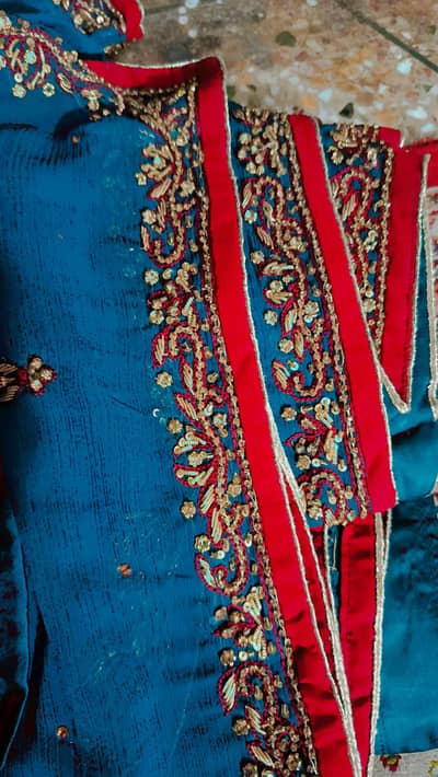 beautiful embroidered saree