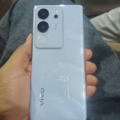 V29 12+8 Ram/256 also warranty available