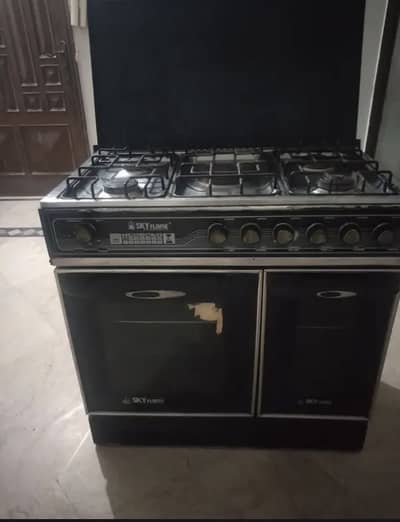 Electric and gas stove